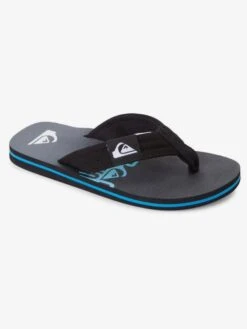 Quiksilver Molokai Layback 2022 - Tongs Pour Garçon 8-16 Ans
