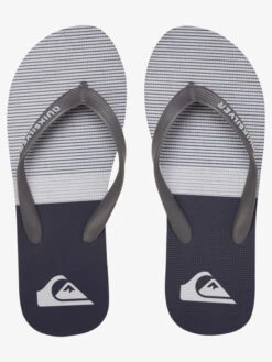 Quiksilver Molokai Tijuana - Tongs Pour Homme -Tenue De Surf aqyl100983 quiksilverp xssk frt4