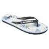 Quiksilver Molokai Island Pulse - Tongs Pour Homme