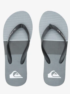 Quiksilver Molokai Tijuana - Tongs Pour Homme -Tenue De Surf aqyl101201 quiksilverp syj2 frt4