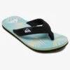 Quiksilver Molokai Layback - Tongs Pour Homme