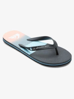Quiksilver Molokai Panel - Tongs Pour Homme