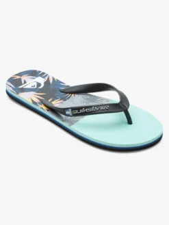 Quiksilver Molokai Panel - Tongs Pour Homme