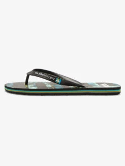 Quiksilver Molokai Art Gregg Kaplan - Tongs Pour Homme -Tenue De Surf aqyl101264 quiksilverp xkbg frt3