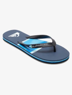 Quiksilver Molokai Airbrushed - Tongs Pour Homme