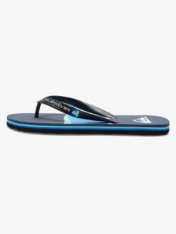 Quiksilver Molokai Airbrushed - Tongs Pour Homme -Tenue De Surf aqyl101317 quiksilverp byj1 frt3