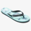 Quiksilver Molokai Air Flow - Tongs Pour Homme