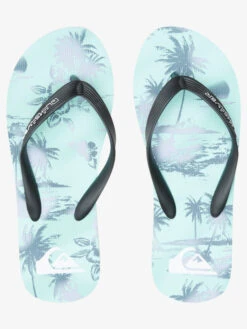 Quiksilver Molokai Air Flow - Tongs Pour Homme -Tenue De Surf aqyl101318 quiksilverp xkgs frt4
