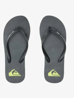 Quiksilver Molokai Core - Tongs Pour Homme -Tenue De Surf aqyl101325 quiksilverp kvj2 frt4