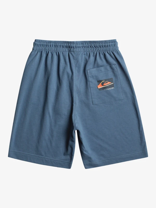 Quiksilver Retro Fade - Short En Molleton Pour Garçon 8-16 Ans 2 Quiksilver Retro Fade - Short En Molleton Pour Garçon 8-16 Ans – Image 2