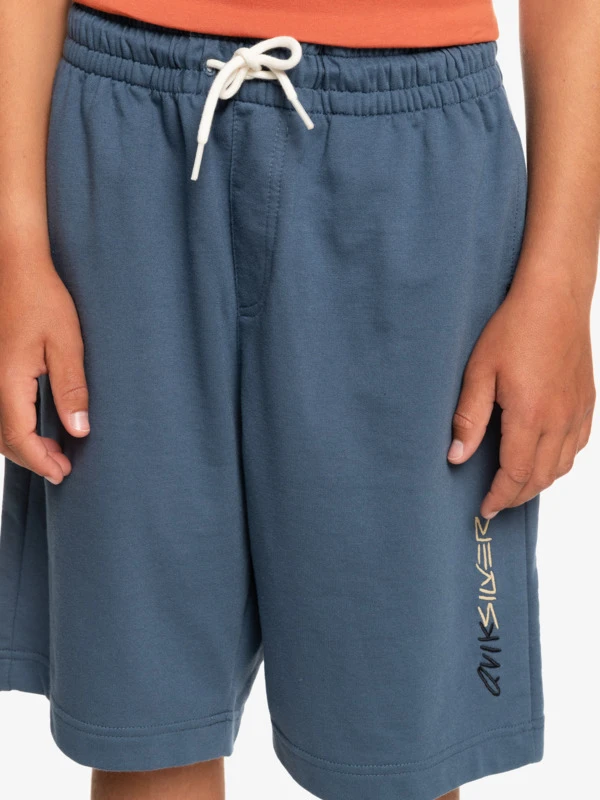 Quiksilver Retro Fade - Short En Molleton Pour Garçon 8-16 Ans 5 Quiksilver Retro Fade - Short En Molleton Pour Garçon 8-16 Ans – Image 5