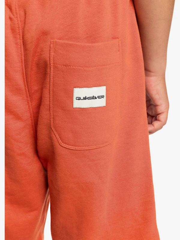 Quiksilver Easy Day - Short De Jogging Pour Garçon 8-16 Ans 8 Quiksilver Easy Day - Short De Jogging Pour Garçon 8-16 Ans – Image 8