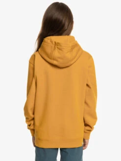 Quiksilver Big Logo - Sweat à Capuche Pour Garçon -Tenue De Surf eqbft03720 quiksilverw ykd0 bck1