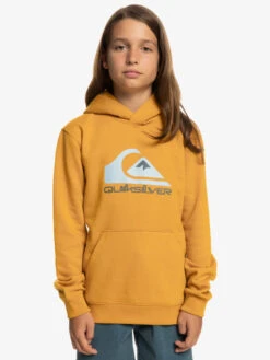 Quiksilver Big Logo - Sweat à Capuche Pour Garçon