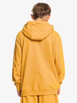 Quiksilver Retro Fade - Sweat à Capuche Pour Garçon 8-16 Ans -Tenue De Surf eqbft03819 quiksilverw ykd0 bck1