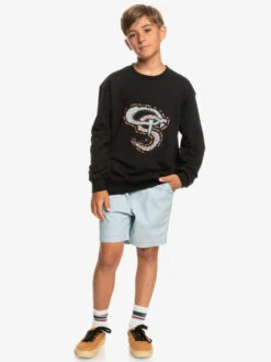 Quiksilver Snackey Gardian - Sweat Pour Garçon 8-16 Ans -Tenue De Surf eqbft03822 quiksilverw kvj0 frt9