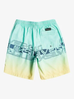 Quiksilver Everyday Wordblock 16" - Short De Bain Pour Garçon 8-16 Ans -Tenue De Surf eqbjv03434 quiksilverf gcz6 bck1