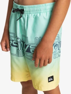 Quiksilver Everyday Wordblock 16" - Short De Bain Pour Garçon 8-16 Ans -Tenue De Surf eqbjv03434 quiksilverw gcz6 frt3