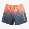 Quiksilver Everyday Warped Logo 14" - Short De Bain Pour Garçon 8-16 Ans