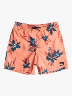 Quiksilver Everyday Mix 14" - Short De Bain Pour Garçon 8-16 Ans