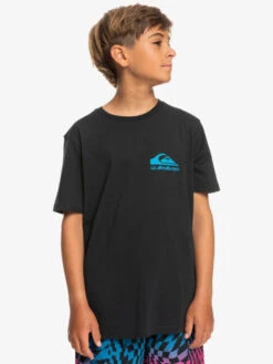 Quiksilver Nice Days - T-shirt Pour Garçon 8-16 Ans -Tenue De Surf eqbzt04586 quiksilverw kvj0 frt1