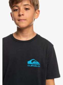 Quiksilver Nice Days - T-shirt Pour Garçon 8-16 Ans -Tenue De Surf eqbzt04586 quiksilverw kvj0 frt3