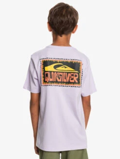 Quiksilver Warped Frames - T-shirt Pour Garçon 8-16 Ans -Tenue De Surf eqbzt04589 quiksilverw pfm0 bck1