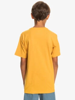 Quiksilver In Shapes - T-shirt Pour Garçon 8-16 Ans -Tenue De Surf eqbzt04591 quiksilverw ykd0 bck1