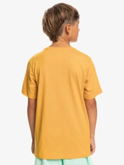 Quiksilver In Circles - T-shirt Pour Garçon 8-16 Ans -Tenue De Surf eqbzt04593 quiksilverw ykd0 bck1