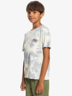Quiksilver Diamond Heritage - T-shirt Pour Garçon 8-16 Ans -Tenue De Surf eqbzt04605 quiksilverw sfv0 frt2