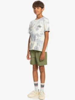 Quiksilver Diamond Heritage - T-shirt Pour Garçon 8-16 Ans -Tenue De Surf eqbzt04605 quiksilverw sfv0 frt9