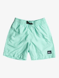 Quiksilver Everyday 13" - Short De Bain Pour Garçon 2-7