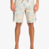 Quiksilver Surfsilk QS 69 19" - Boardshort Pour Homme