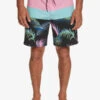 Quiksilver Surfsilk Panel 18" - Boardshort Pour Homme