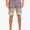 Quiksilver Surfsilk Massive 20" - Boardshort Pour Homme