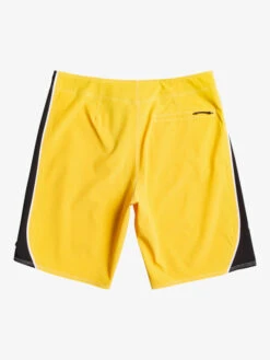 Quiksilver Surfsilk 99 20" - Boardshort Pour Homme -Tenue De Surf eqybs04786 quiksilverf yjc0 bck1