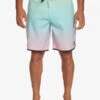 Quiksilver Everyday Scallop 19" - Boardshort Pour Homme