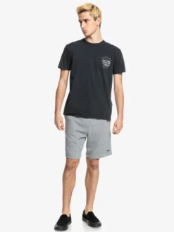 Quiksilver Essentials 19" - Short En Matière Molletonnée Biologique Pour Homme -Tenue De Surf eqyfb03206 quiksilverw sjsh frt9
