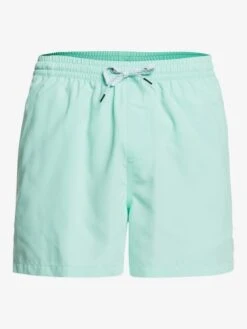 Quiksilver Everyday 15" - Short De Bain Pour Homme -Tenue De Surf eqyjv03531 everydayvolley15v gcz0 frt1
