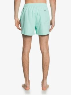 Quiksilver Everyday 15" - Short De Bain Pour Homme -Tenue De Surf eqyjv03531 everydayvolley15w gcz0 bck1