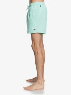 Quiksilver Everyday 15" - Short De Bain Pour Homme -Tenue De Surf eqyjv03531 everydayvolley15w gcz0 frt2