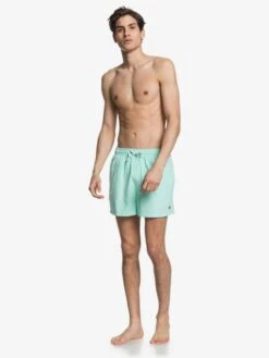 Quiksilver Everyday 15" - Short De Bain Pour Homme -Tenue De Surf eqyjv03531 everydayvolley15w gcz0 frt9