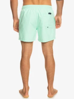 Quiksilver Everyday 15" - Short De Bain Pour Homme -Tenue De Surf eqyjv03531 quiksilverw gcz0 bck1