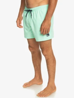 Quiksilver Everyday 15" - Short De Bain Pour Homme -Tenue De Surf eqyjv03531 quiksilverw gcz0 frt2