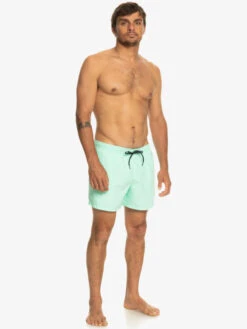 Quiksilver Everyday 15" - Short De Bain Pour Homme -Tenue De Surf eqyjv03531 quiksilverw gcz0 frt9