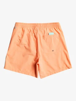 Quiksilver Everyday Vert 16" - Short De Bain Pour Homme -Tenue De Surf eqyjv03987 quiksilverf mhv0 bck1