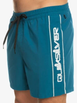 Quiksilver Everyday Vert 16" - Short De Bain Pour Homme -Tenue De Surf eqyjv03987 quiksilverw bsg0 frt3