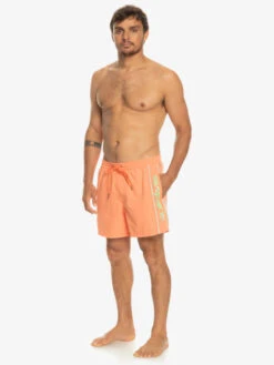 Quiksilver Everyday Vert 16" - Short De Bain Pour Homme -Tenue De Surf eqyjv03987 quiksilverw mhv0 frt9