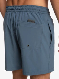 Quiksilver Surfsilk 16" - Short De Bain Pour Homme -Tenue De Surf eqyjv03993 quiksilverw byg0 bck2