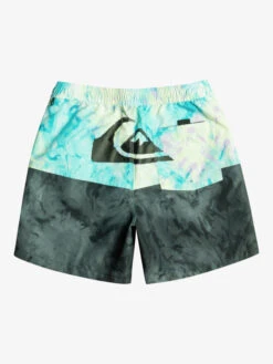 Quiksilver Butt Logo 17" - Short De Bain Pour Homme 17 Quiksilver Butt Logo 17" - Short De Bain Pour Homme -Tenue De Surf eqyjv03994 quiksilverf kvj6 bck1